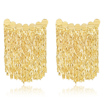 Fringe Tassel Dangle Earrings